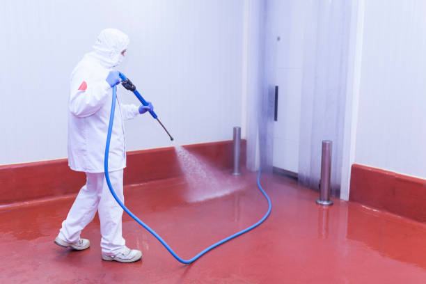 Best Driveway Pressure Washing  in Rumson, NJ